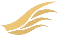 Maa Vindhyavasini Developers Logo